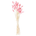 Tied bunch of slender pale stems with fuzzy-looking pink oval plumes at varied heights and angles, shown against a white background.