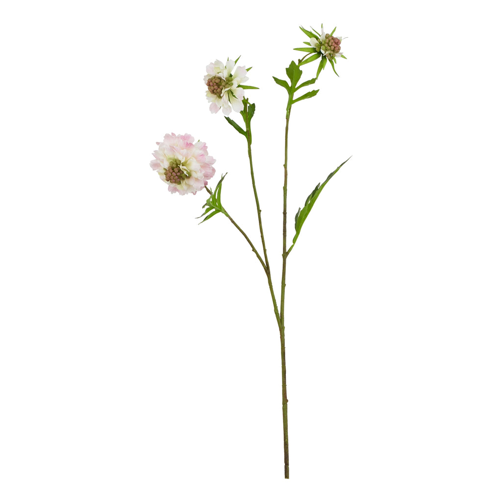 Full view of an artificial scabious stem with branching green stalks, pale pink flower heads and pointed green leaves against white.