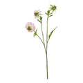 Full view of an artificial scabious stem with branching green stalks, pale pink flower heads and pointed green leaves against white.
