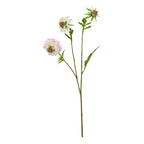 Full view of an artificial scabious stem with branching green stalks, pale pink flower heads and pointed green leaves against white.