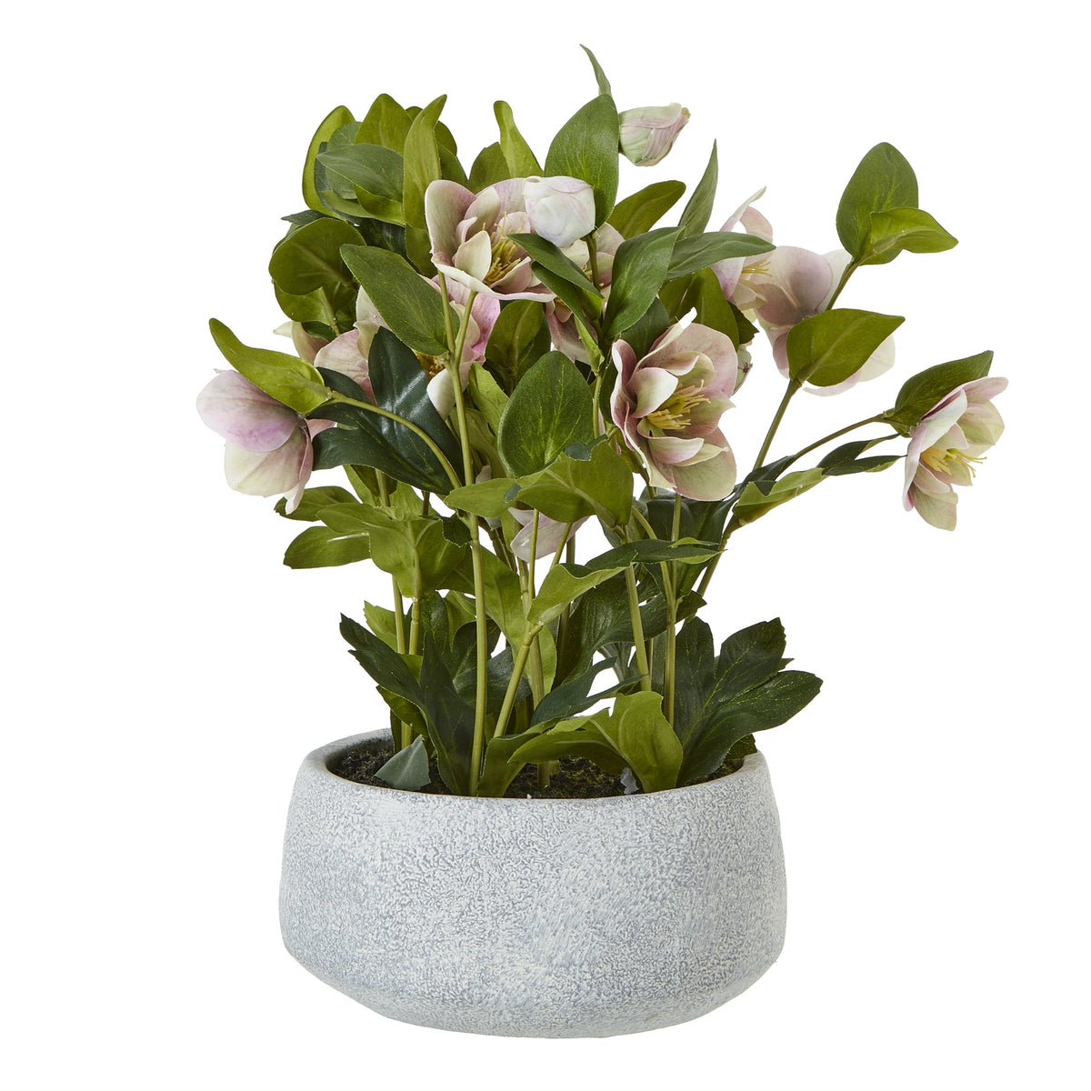 Artificial hellebore with pale pink flowers and green foliage on branching stems in a rounded grey pot against white.