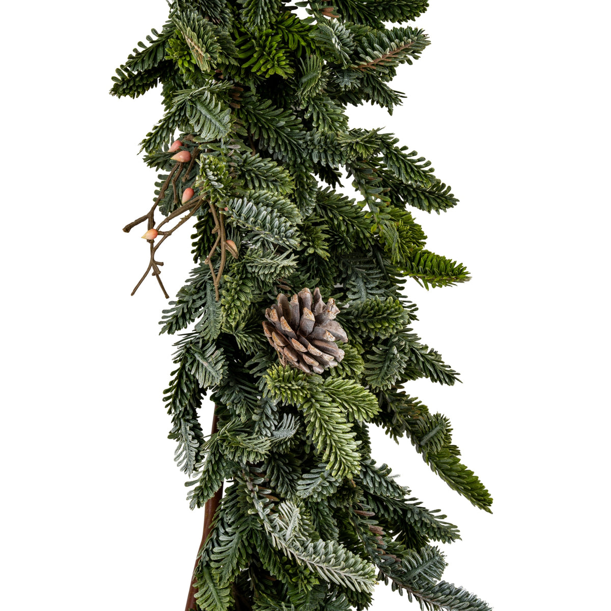 Close-up of layered green fir-like foliage with pale-tipped needles, a brown pinecone and pink-orange bud-like forms on branching brown stems.
