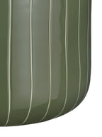 Close-up of pale vertical stripes running down the glossy green body and around the curved base.