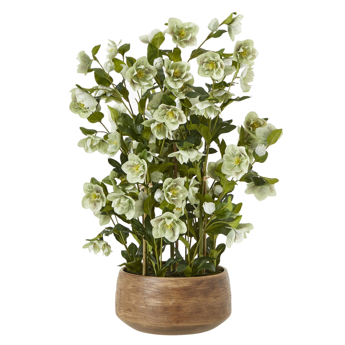 Full view of a branching artificial flower arrangement with pale green speckled blooms and green foliage in a low rounded brown pot.