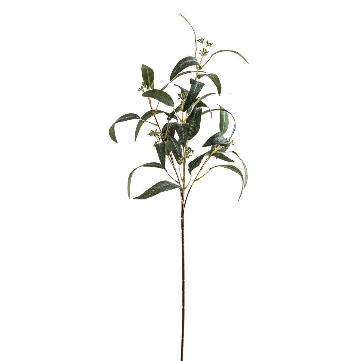 Upright Podleaf artificial foliage spray against white, with a long brown stem, branching dark green leaves and small green pod-like clusters.