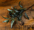 Podleaf artificial foliage laid diagonally across a wooden surface, showing curved narrow leaves and green pod-like clusters along the branches.