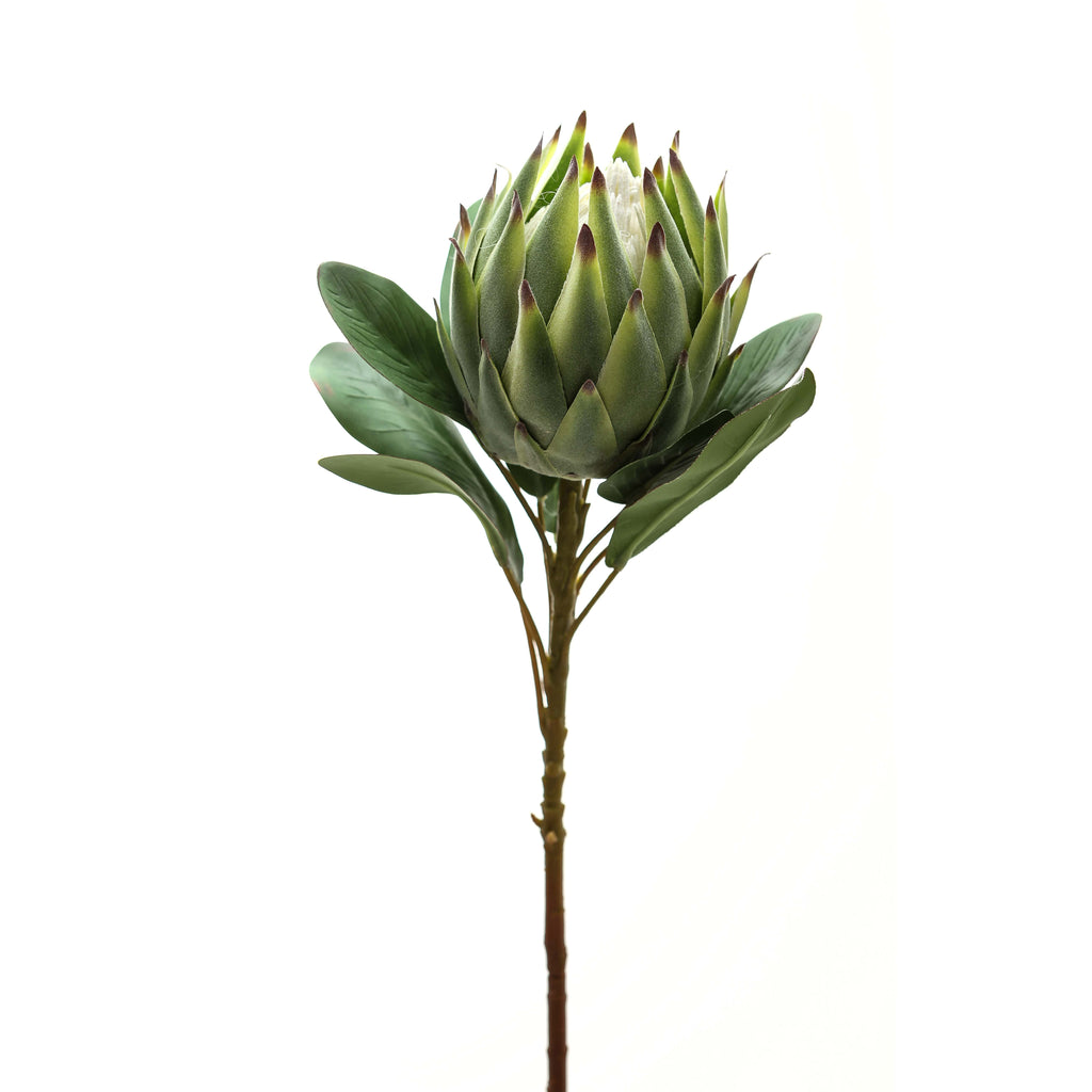 Upright close-up of the green artificial flower head, showing overlapping bracts with dark tips, pale central filaments and surrounding oval leaves.