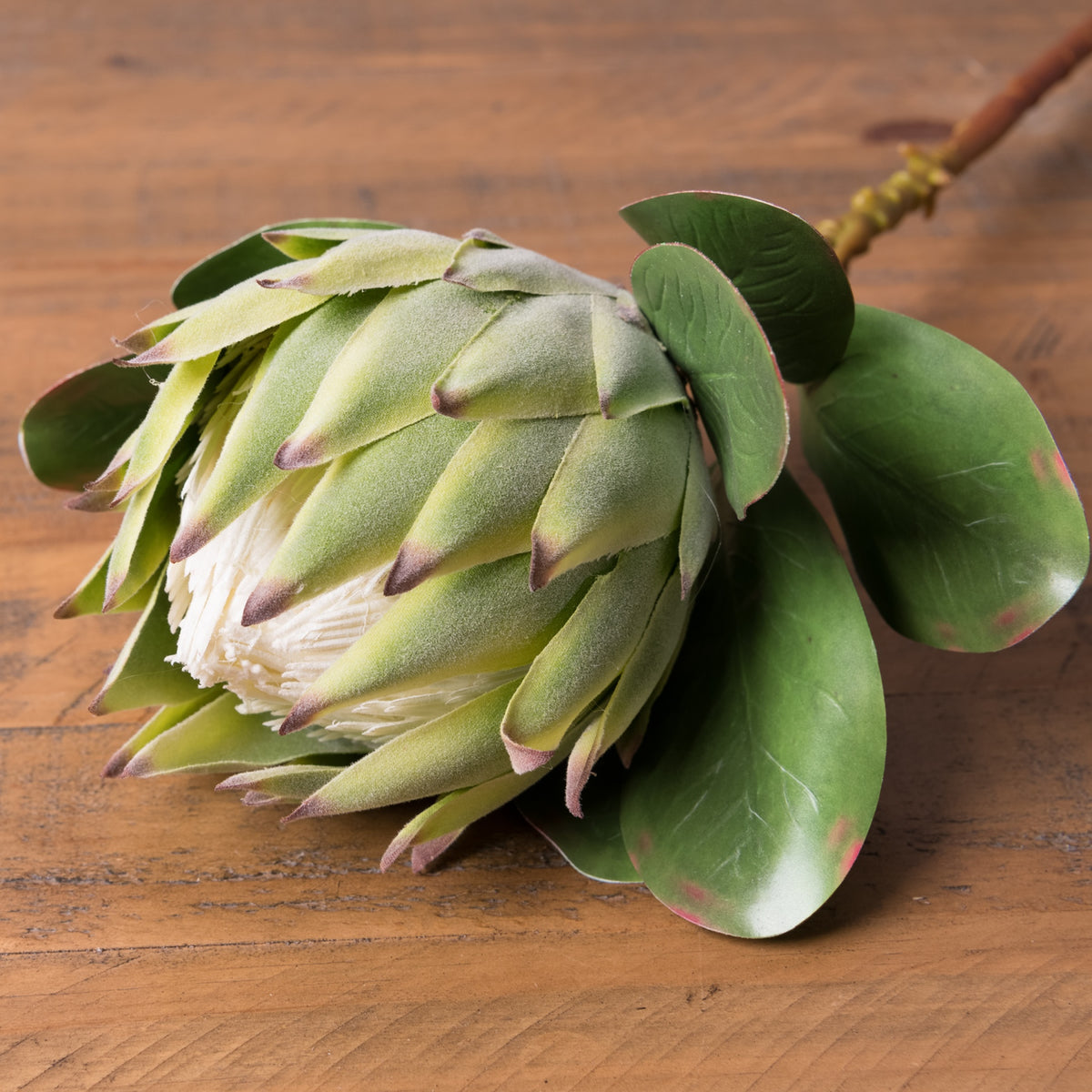 Artificial flower head resting diagonally on a wooden surface, with softly textured green bracts, dark pointed tips, a pale filament centre and veined oval leaves.