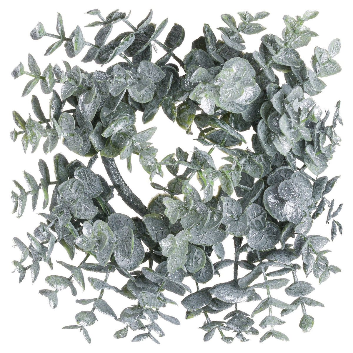 Circular grey-green foliage wreath with an open centre, densely layered frosted-looking leaves and smaller sprigs extending around the edge on a white background.
