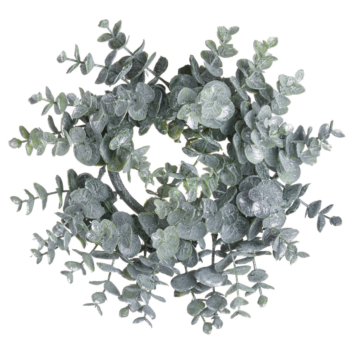 Circular grey-green foliage wreath on a white background, with an open centre and white-silver coating across the overlapping leaves.