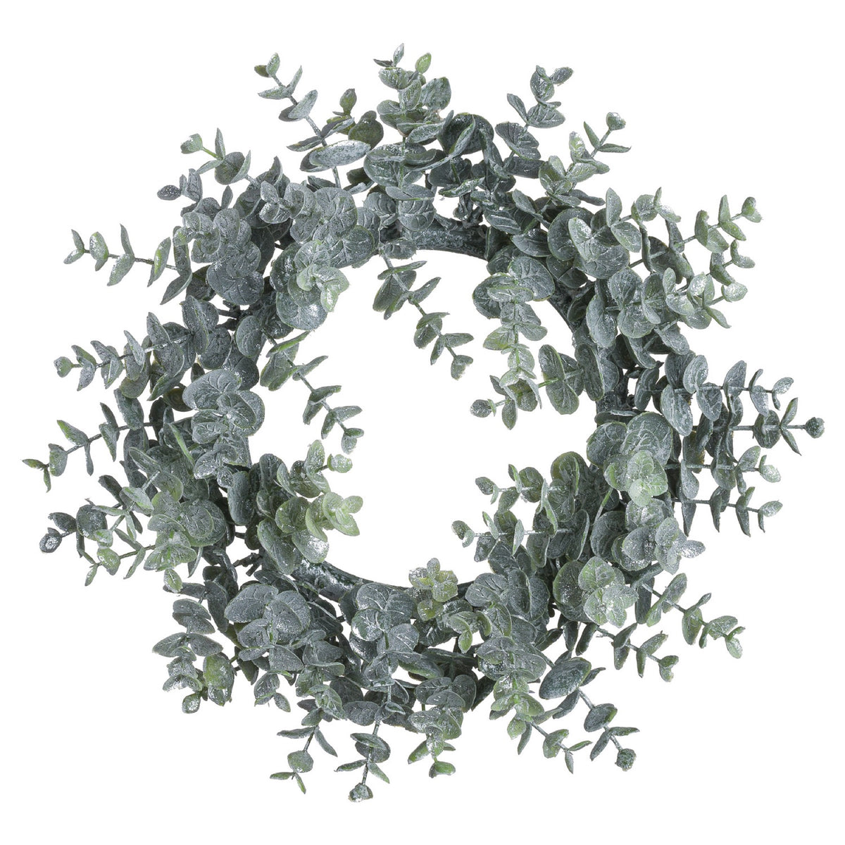 Circular grey-green foliage wreath against white, with an open centre and frosted rounded leaves extending around the edge.