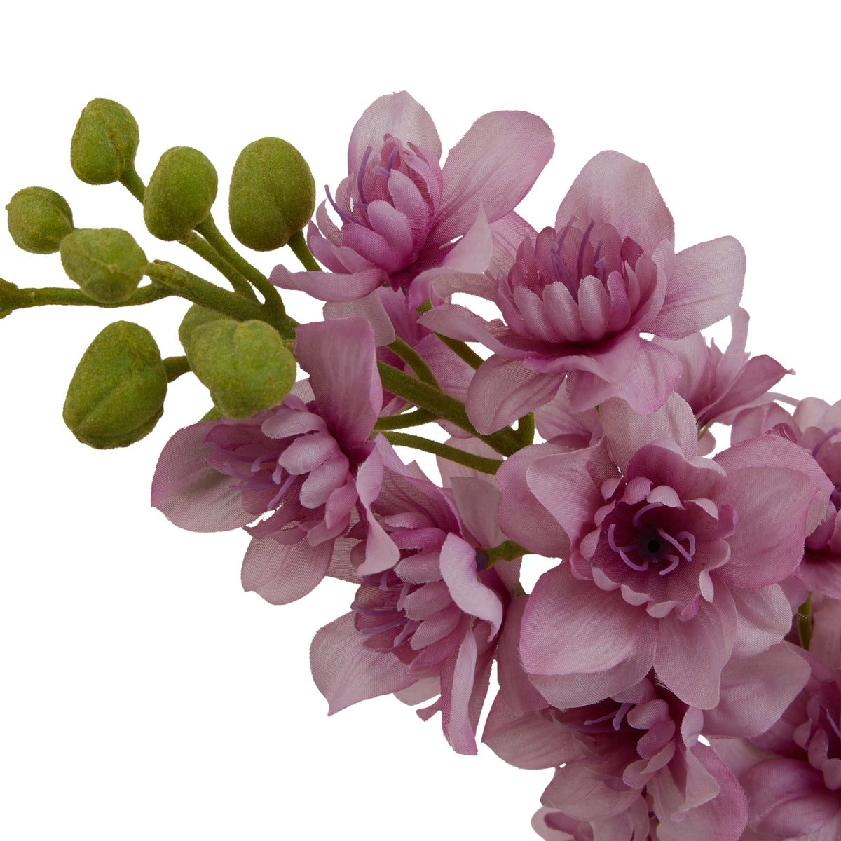 Close-up of layered purple delphinium flowers with darker centres beside rounded green buds.