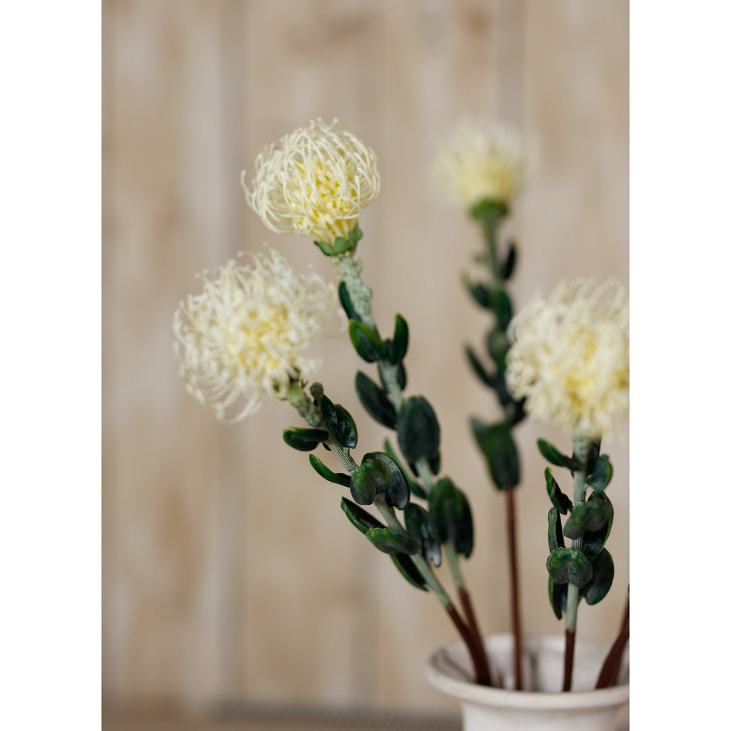 Detail of a styled protea arrangement, with a cream flower head in focus above dark green foliage and a pale vase rim below.