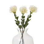 Three cream artificial protea sprays arranged in a clear glass vase, with leafy stems visible through the glass against white.