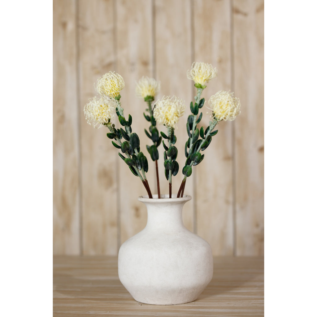 Cream pincushion protea sprays fanned out in a rounded pale vase on a wooden surface in front of timber panelling.