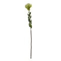 Full green artificial protea spray on white, with a rounded pincushion bloom, oval leaves and a long brown lower stem.