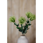 Close view of a green protea arrangement, with the central radiating bloom in focus and the off-white vase softly blurred below.