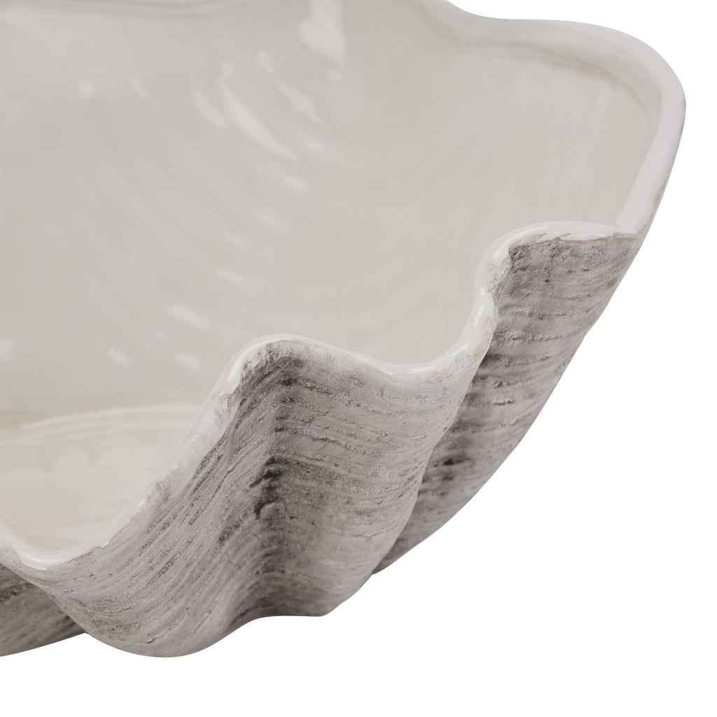 Close-up of the shell planter's curved rim, showing the glossy pale interior and fine lines across the grey exterior ribs.