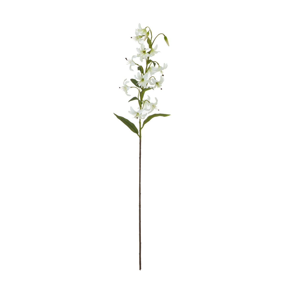 Full view of an artificial flower spray with a long brown stem, branching white recurved blooms, hanging buds and narrow green leaves against white.