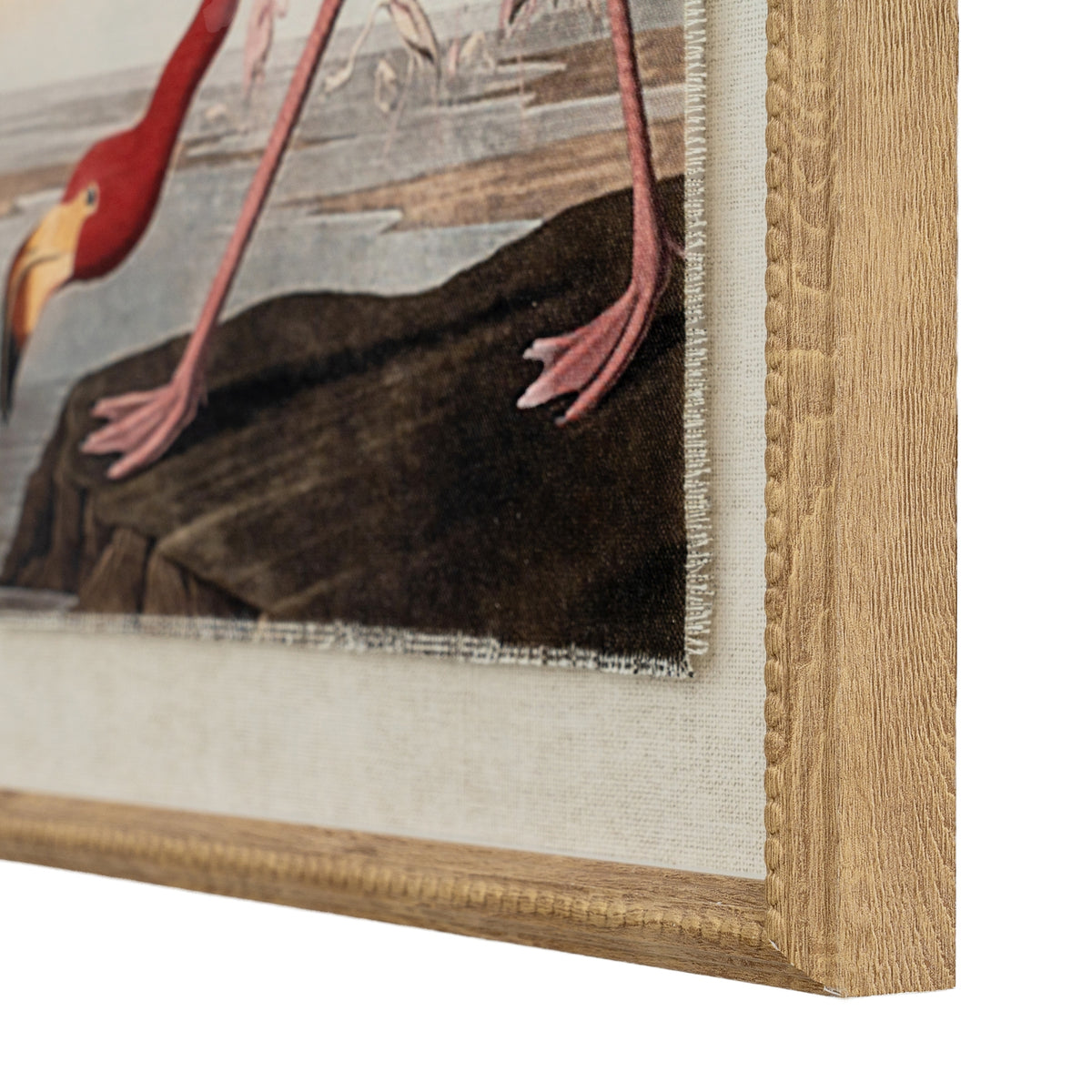 Close-up of the print’s lower right corner, showing the flamingo’s pink feet, textile-like image edge and beaded frame with grain-like markings.