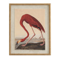 Red flamingo bending over a rocky waterside, shown in a portrait print with a pale textured surround and tan-gold beaded frame.
