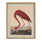 Red flamingo bending over a rocky waterside, shown in a portrait print with a pale textured surround and tan-gold beaded frame.