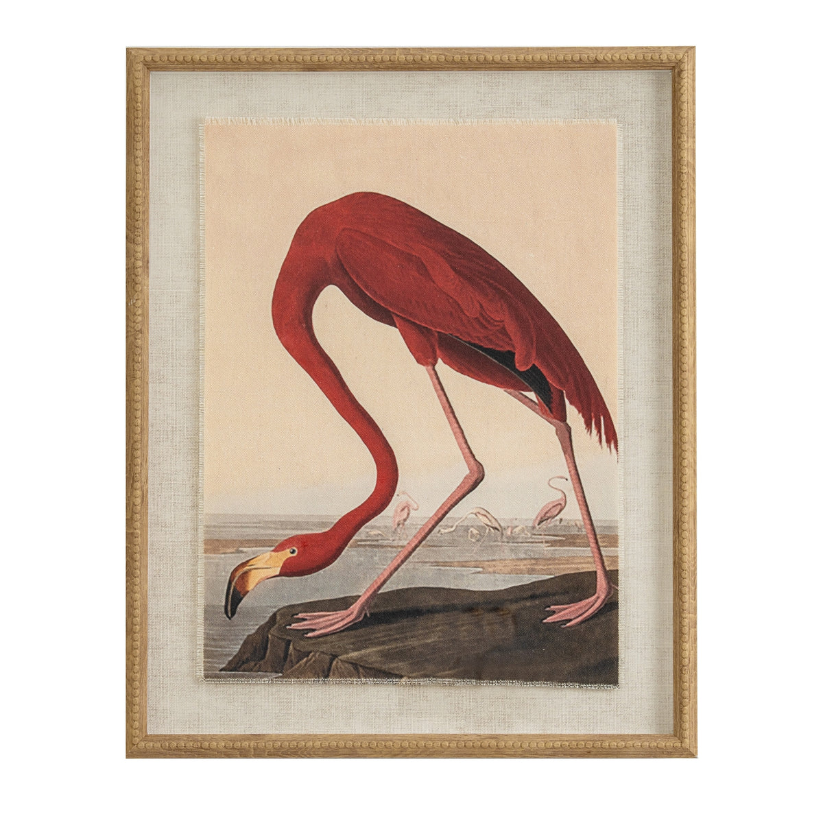 Red flamingo bending over a rocky waterside, shown in a portrait print with a pale textured surround and tan-gold beaded frame.