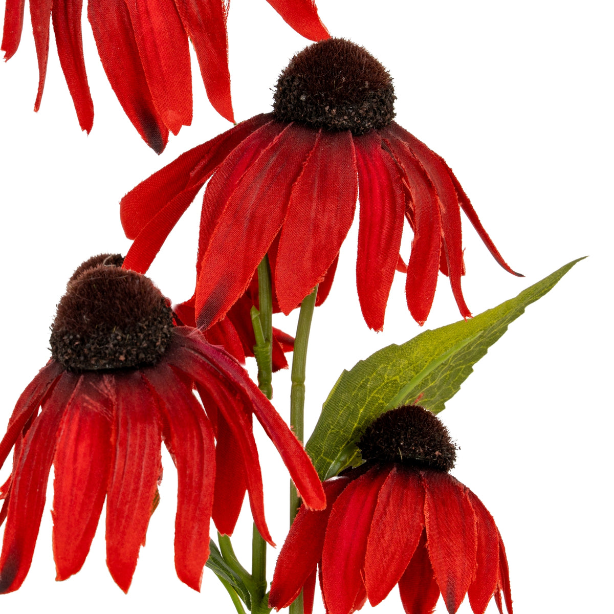 Close-up of red petals with darker shading at their bases, textured brown cone centres and a pointed green leaf between the blooms.