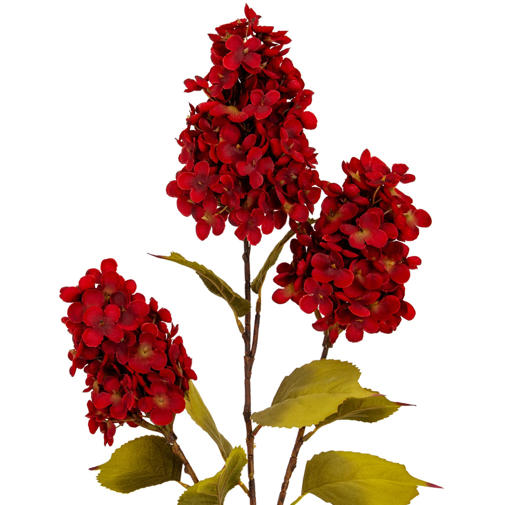 Closer view of the three tapered red flower clusters at staggered heights, with serrated green leaves around the brown branches.