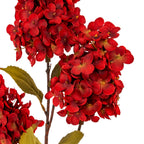 Detail of overlapping red florets with small pale centres, beside an olive-green leaf and brown branching stems.