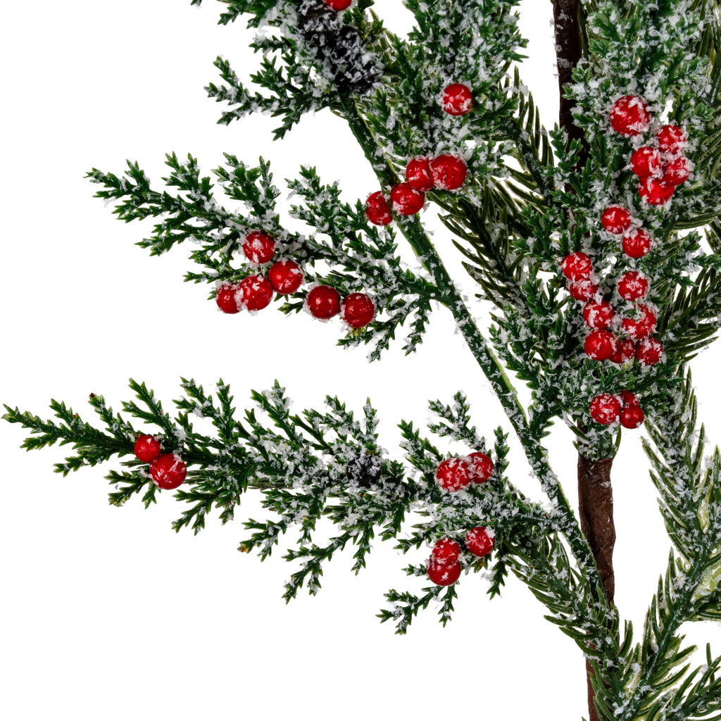 Close-up of glossy red berry clusters among needle-like and scale-like green foliage, showing granular white frosting and dark cone-like accents.