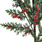 Close-up of glossy red berry clusters among needle-like and scale-like green foliage, showing granular white frosting and dark cone-like accents.