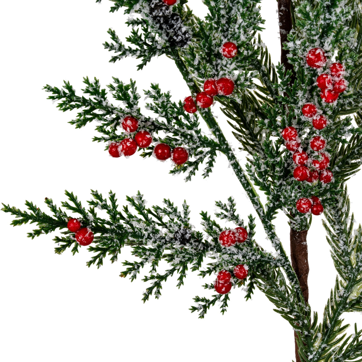 Close-up of glossy red berry clusters among needle-like and scale-like green foliage, showing granular white frosting and dark cone-like accents.