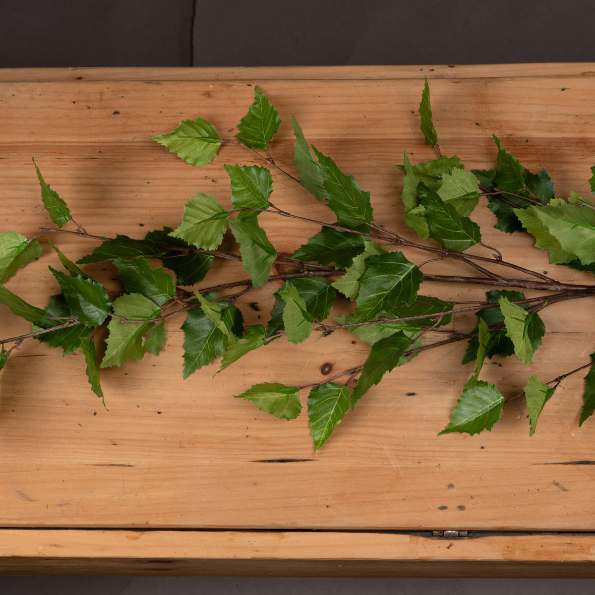 Close view of green serrated leaves with visible veins and reddish-brown branches laid across a wooden tabletop.