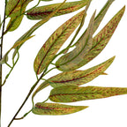 Leaf detail showing fine red-brown vein patterns, yellow-green mottling and small green branch stems against a white background.