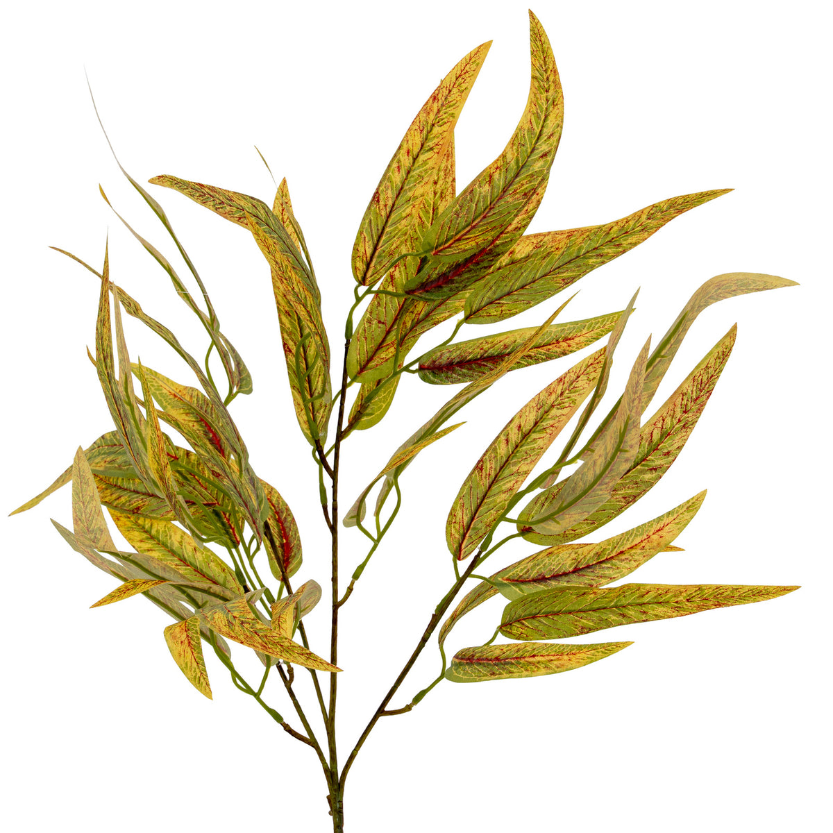 Closer view of the spray's upper branches, showing long leaves curving in different directions and red-brown veins over green and yellow-green surfaces.