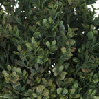 Close-up of overlapping oval leaves in light and dark green, with muted reddish tips and slender green branches.