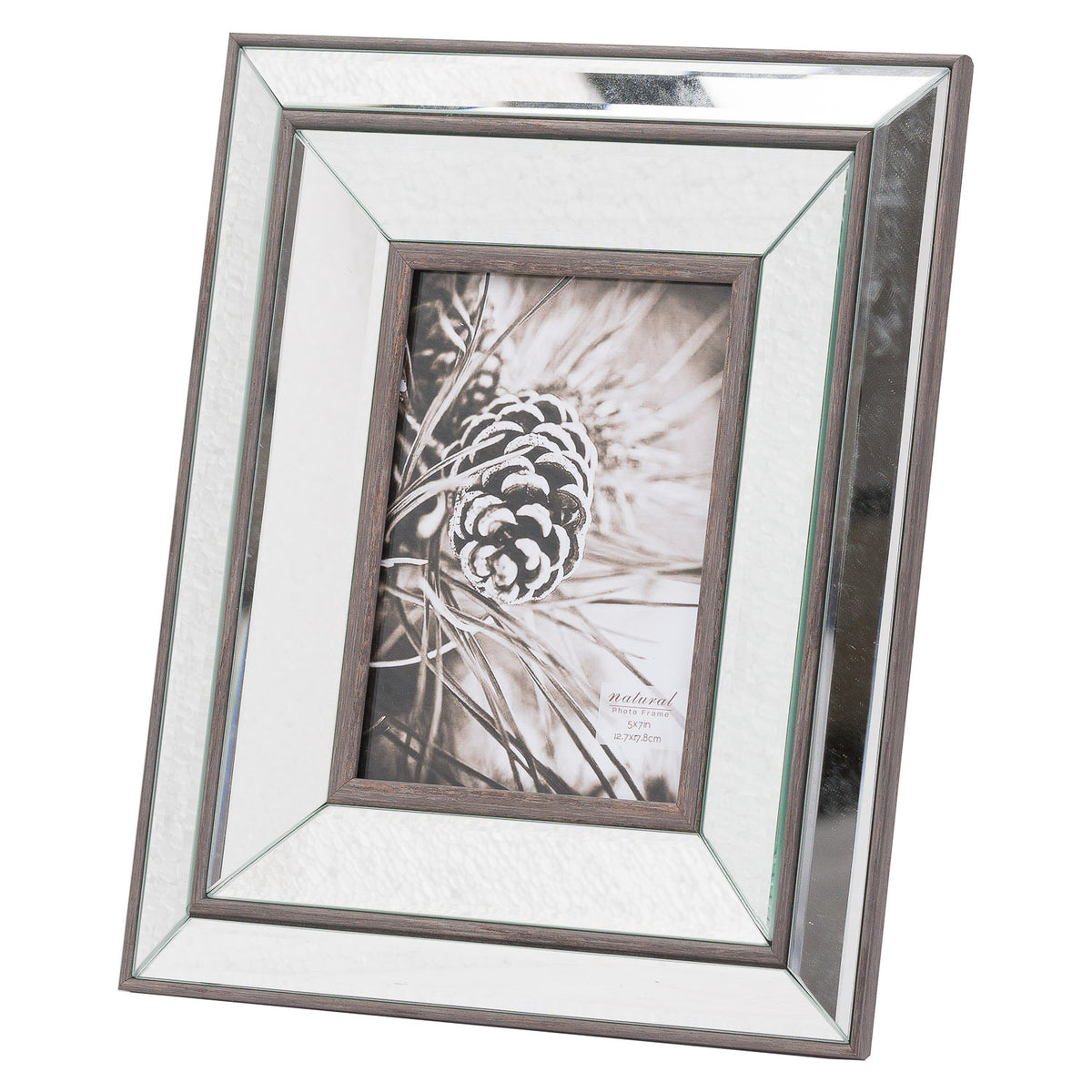 Angled view of a portrait photo frame with a stepped reflective surround, dark brown borders and a black-and-white pine cone picture.