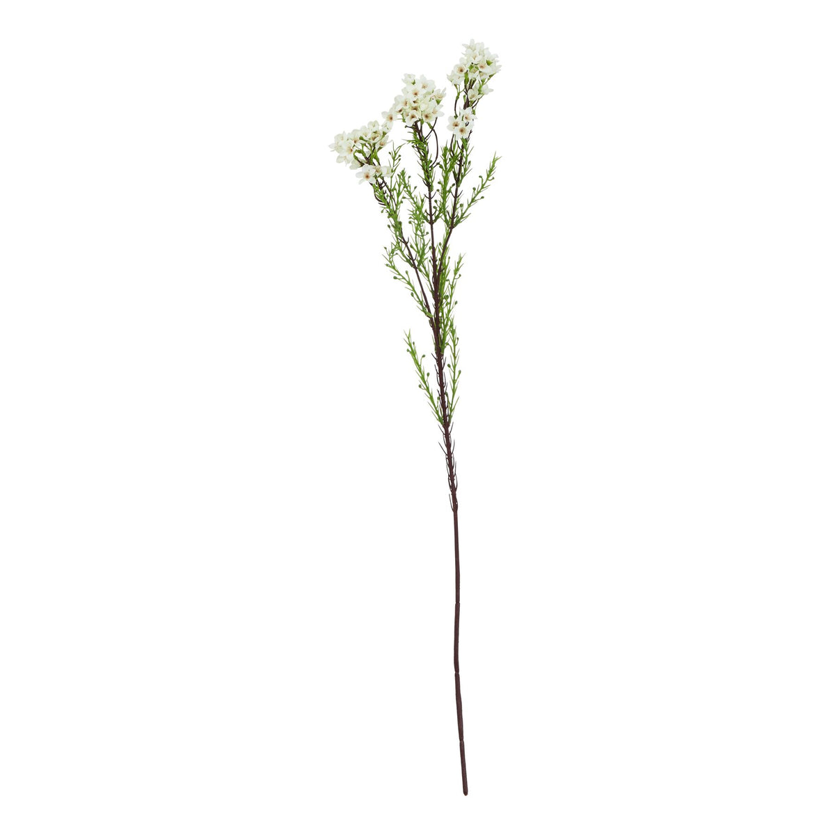 Full view of a slender artificial flower stem with burgundy-brown branches, cream-white flower clusters and fine green foliage against a white background.