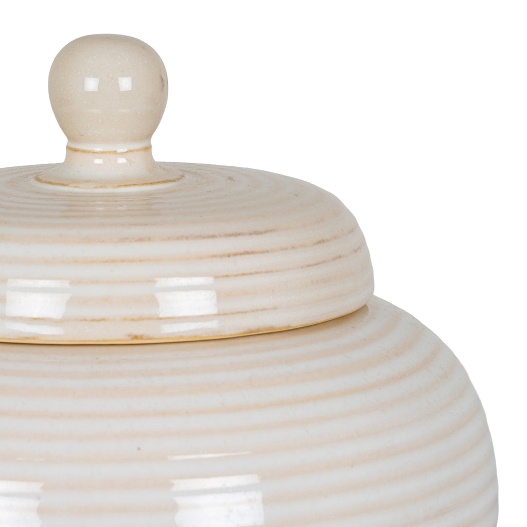 Close-up of the jar's rounded lid knob and glossy cream-white rings, with fine speckling and warm beige shading in the grooves.