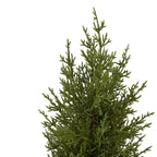 Close-up of the tree decoration's fine green branching sprays and irregular pointed tip.