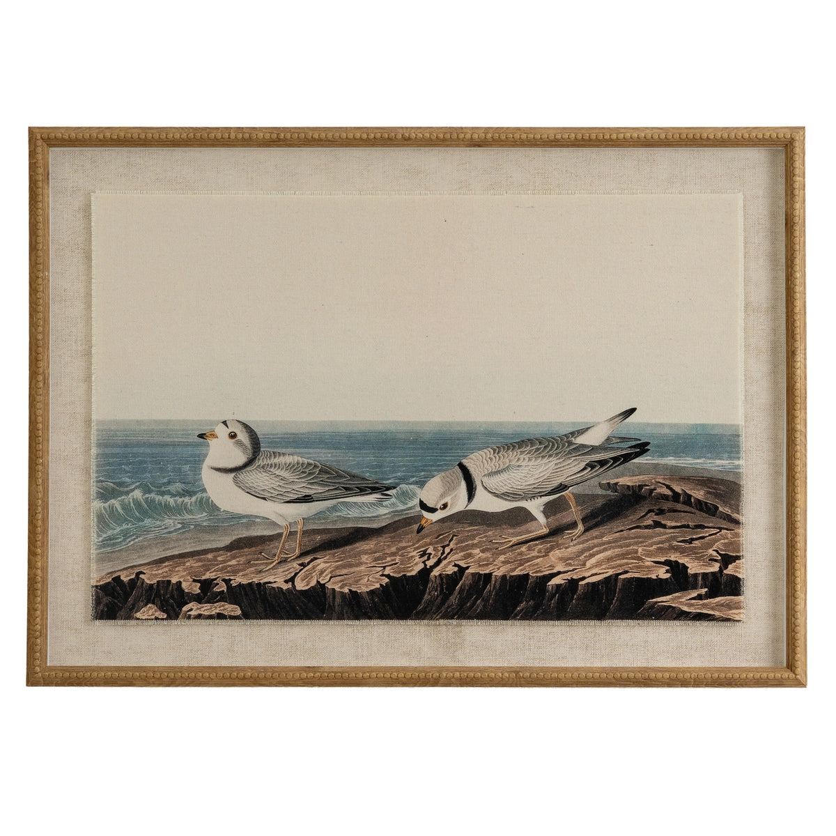 Landscape framed print of two grey-and-white shorebirds on dark coastal rocks beside blue waves, with a pale textured surround and tan-gold beaded frame.