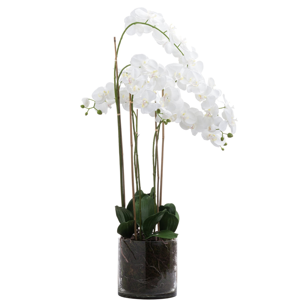 Full view of a tall artificial flower arrangement with arching white blooms, green buds and dark leaves above a clear cylindrical pot.