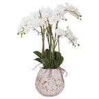 Full view of the artificial white orchid arrangement with arching flower stems, green buds, dark leaves and pale root-like details over a distressed off-white pot.
