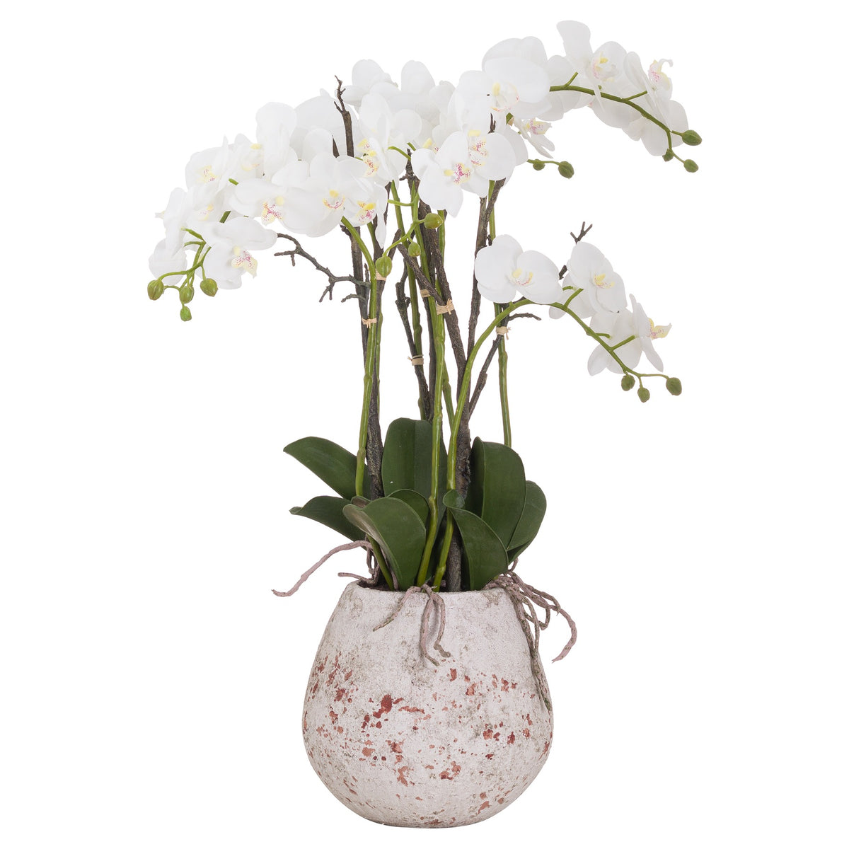 Full view of the artificial white orchid arrangement with arching flower stems, green buds, dark leaves and pale root-like details over a distressed off-white pot.