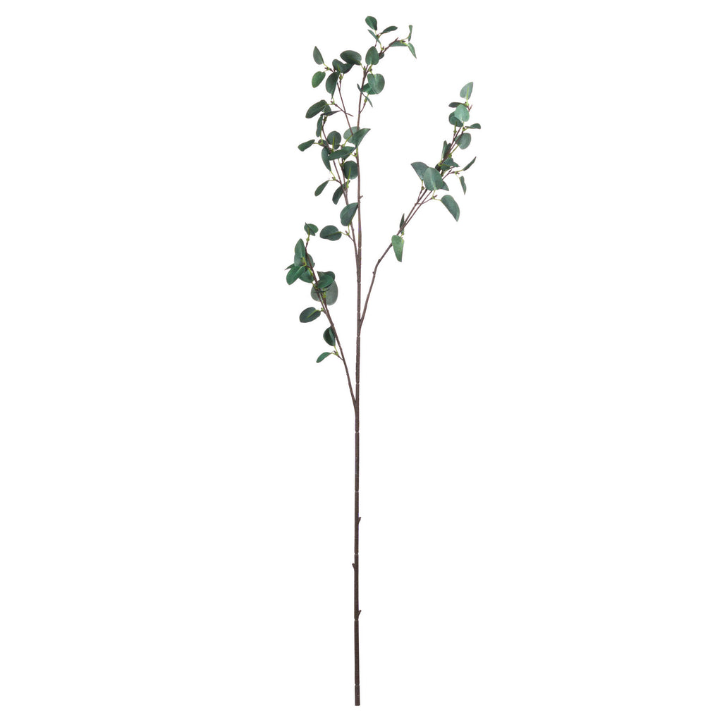 Full view of an artificial eucalyptus stem with a long dark brown base and branching sprays of rounded green leaves against white.