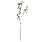 Full view of an artificial eucalyptus stem with a long dark brown base and branching sprays of rounded green leaves against white.