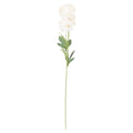 Full-length artificial ranunculus stem on a white background, with rounded cream-ivory flower heads above green leaves and a long slender green stem.