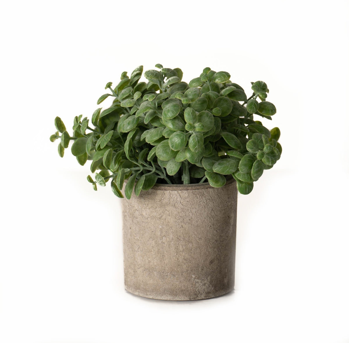 Roundleaf artificial plant with rounded green leaves spreading above a cylindrical grey-brown pot with a mottled surface, shown against white.