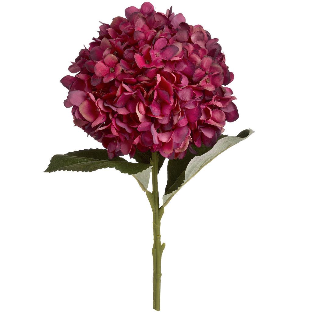 Ruby Floret artificial hydrangea stem on a white background, with a rounded ruby and magenta flower head above broad green leaves.